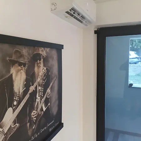 Blues House Гостевой дом Венус