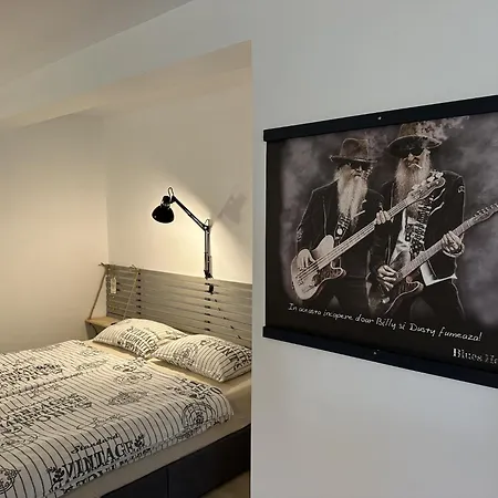 Pensiune Blues House